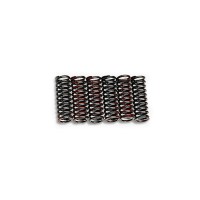 GYTR Clutch Spring комплект