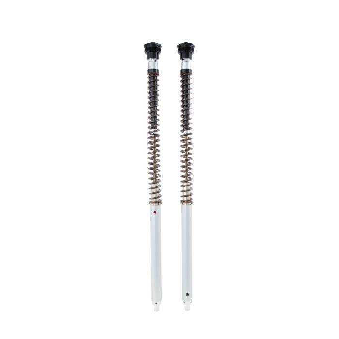 Комплект картриджів Öhlins для мотоциклів Ténéré 700