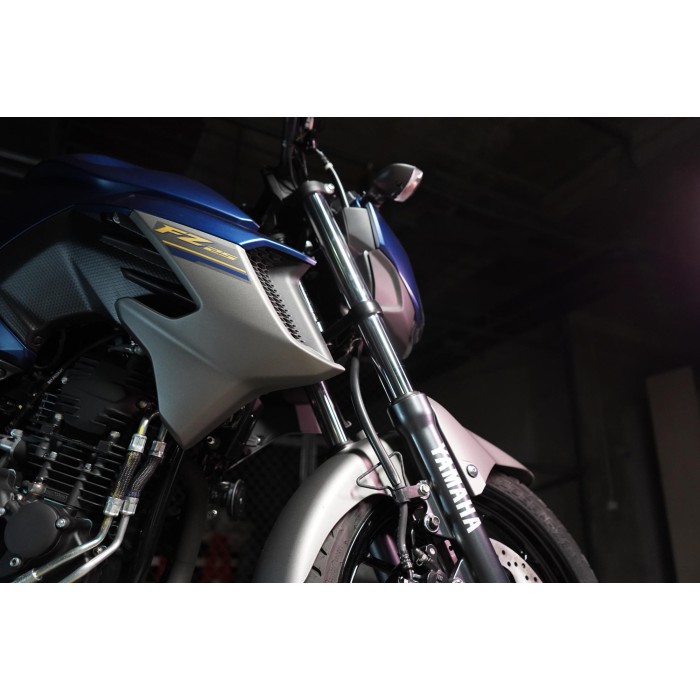 FZ250