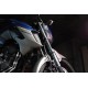 FZ250