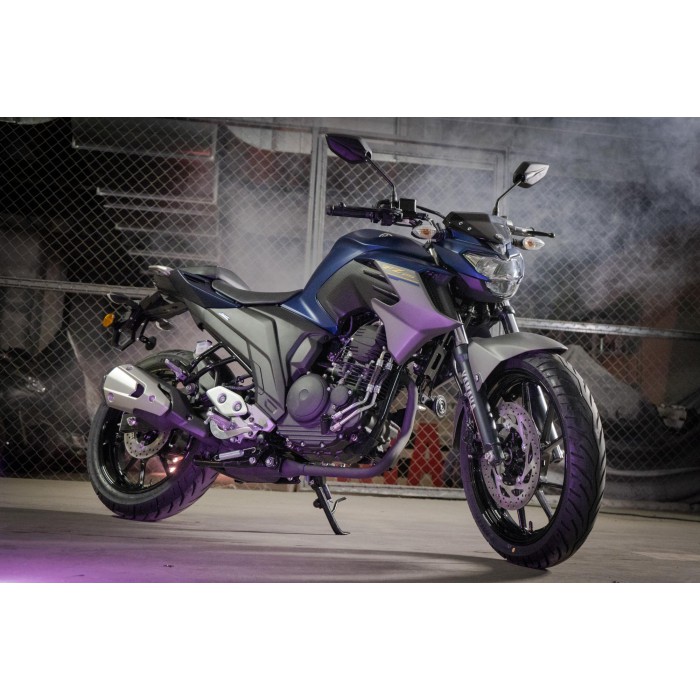 FZ250