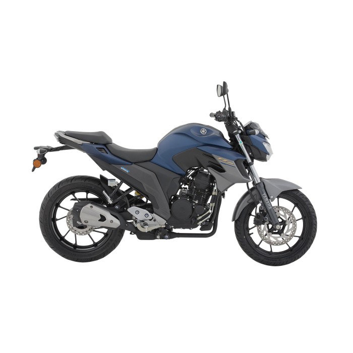FZ250