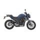 FZ250