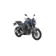 FZ250