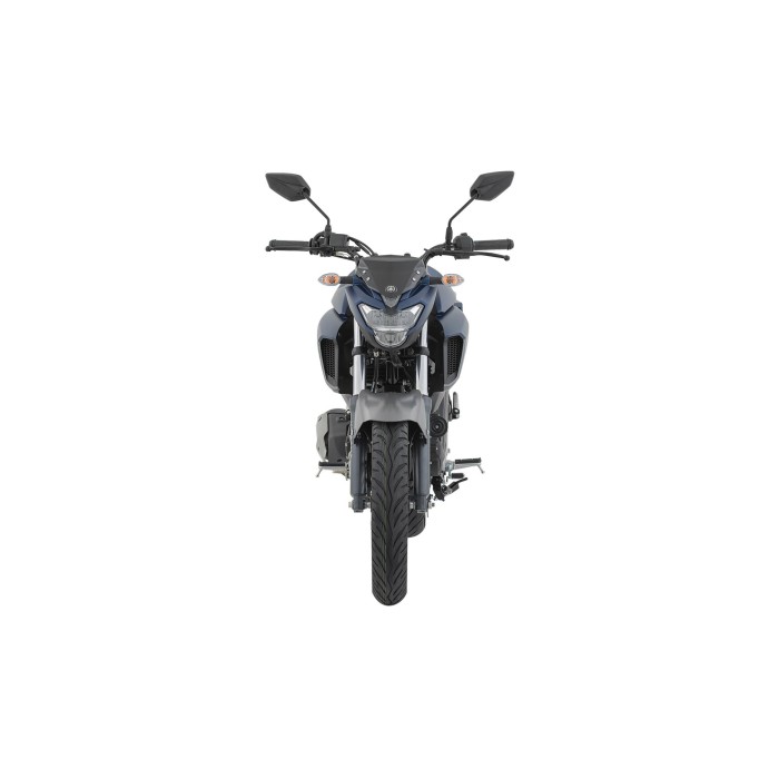 FZ250