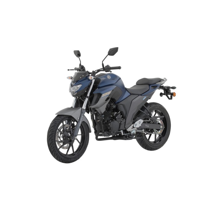 FZ250