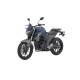 FZ250