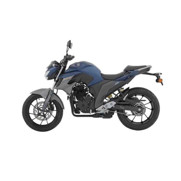 FZ250