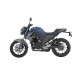 FZ250