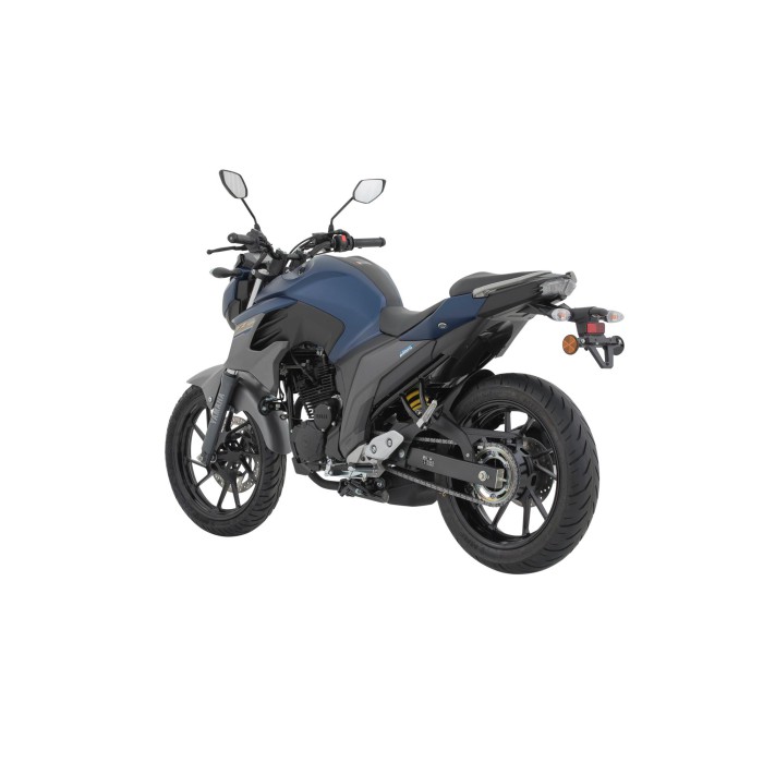 FZ250
