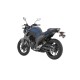 FZ250