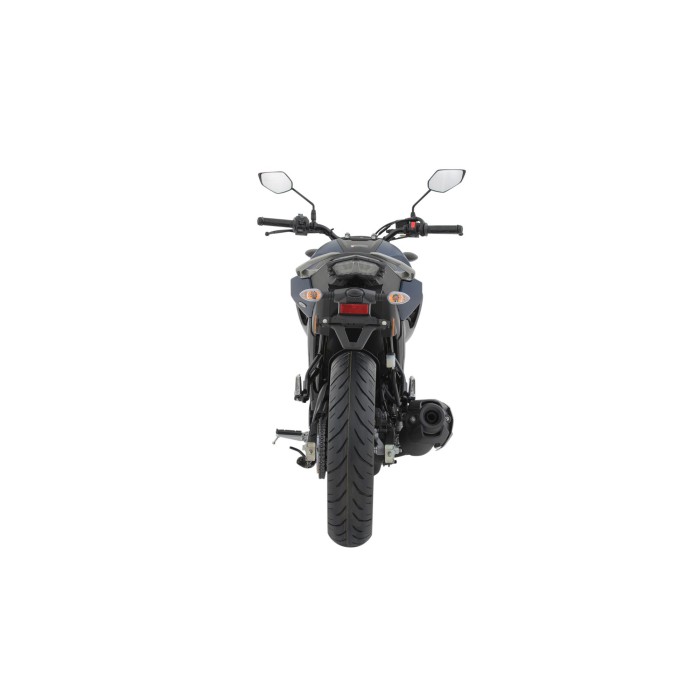 FZ250
