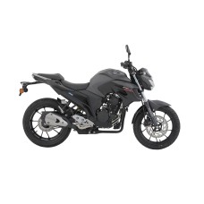 FZ250