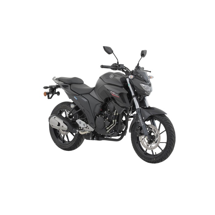 FZ250