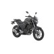 FZ250
