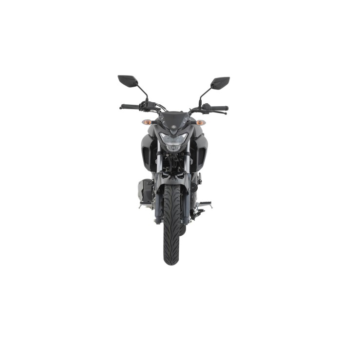 FZ250