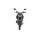FZ250