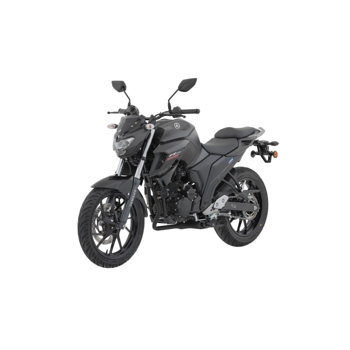 FZ250
