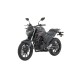FZ250