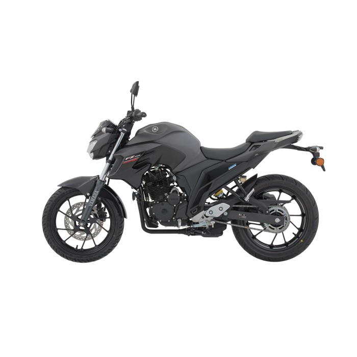 FZ250