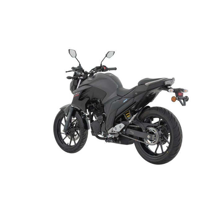FZ250