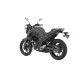 FZ250