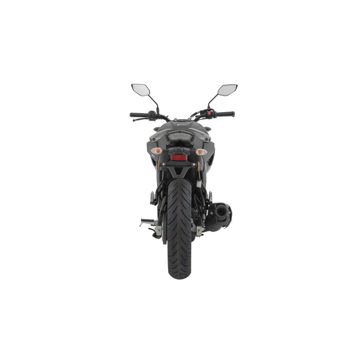 FZ250