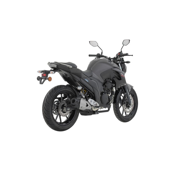 FZ250