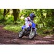 TT-R110