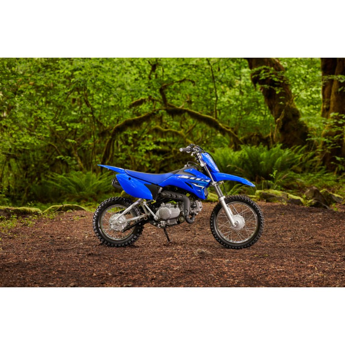 TT-R110