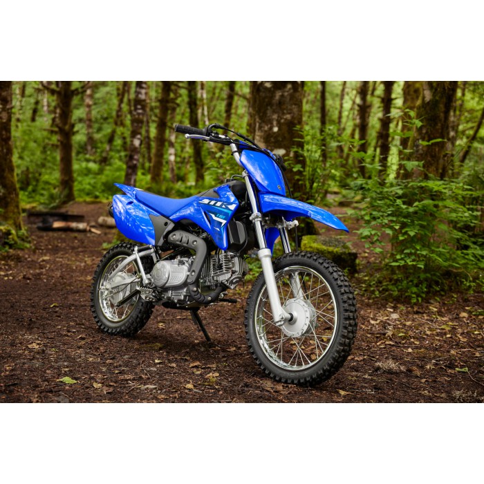 TT-R110