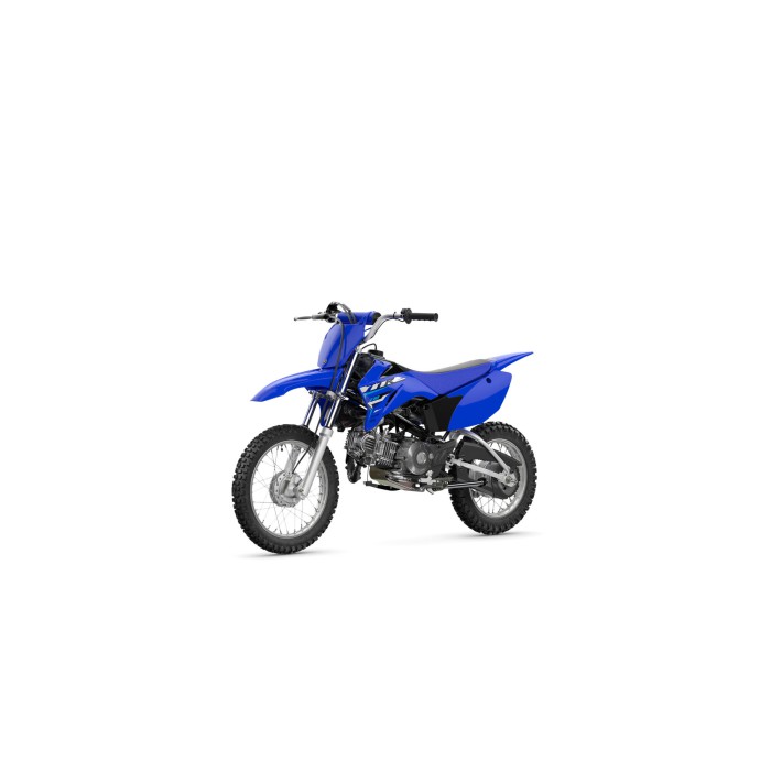 TT-R110