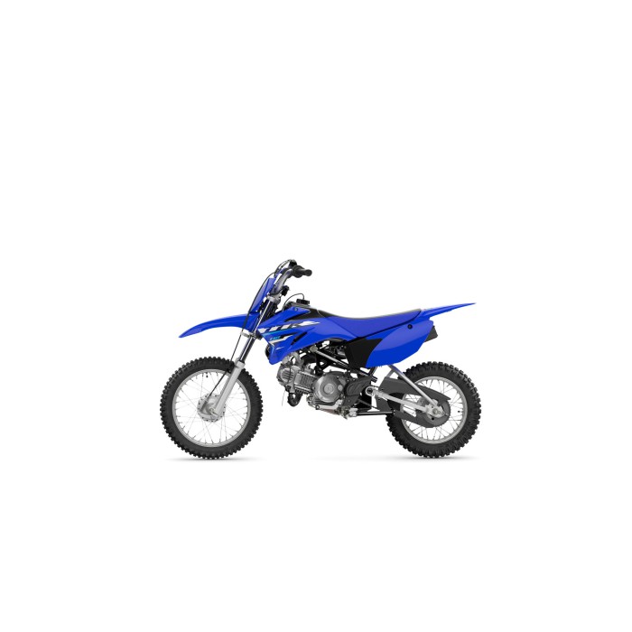 TT-R110