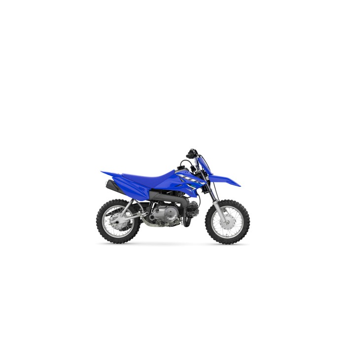 TT-R50