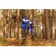 WR450F