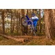 WR450F