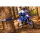WR450F