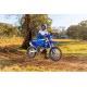 WR450F