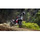 Ténéré 700 World Raid