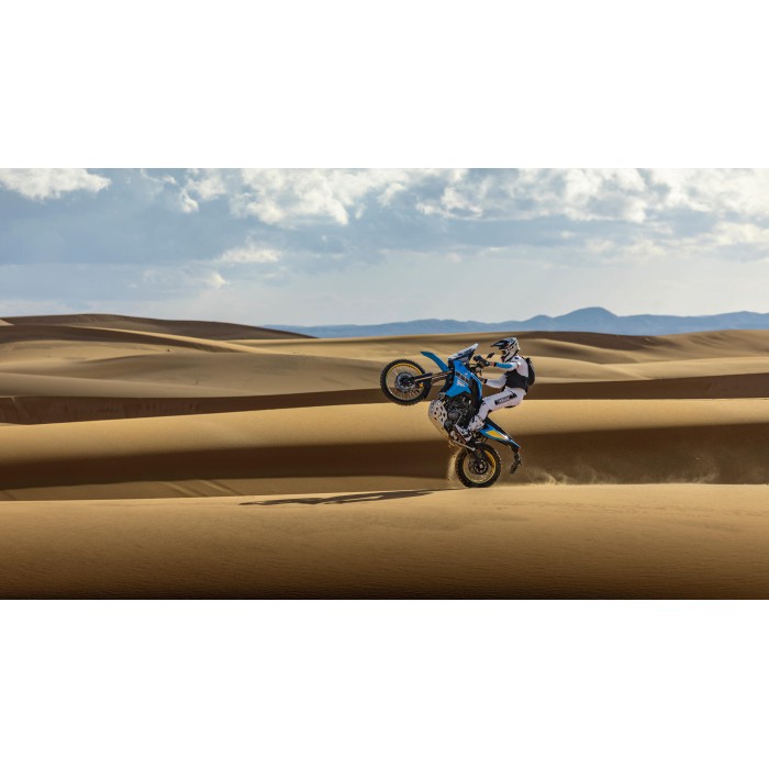 Ténéré 700 Rally