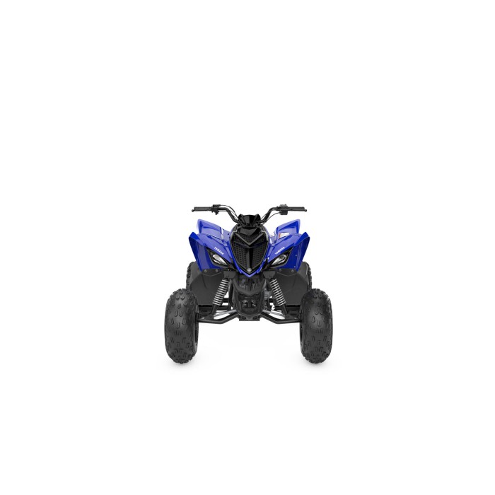 YFM110R