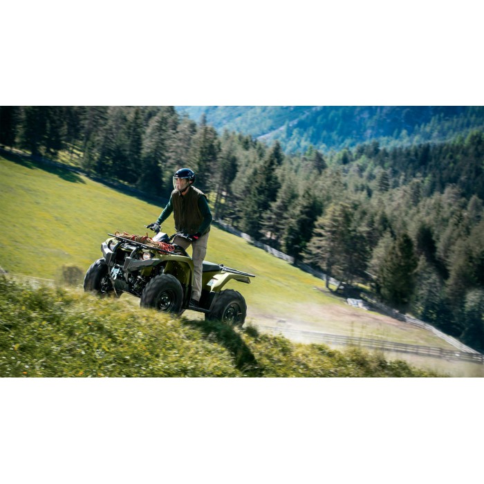 Kodiak 450