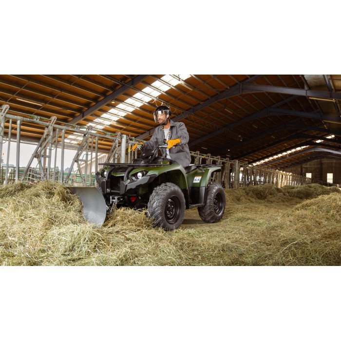 Kodiak 450