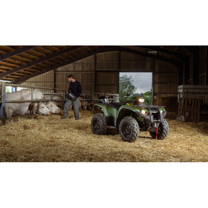 Kodiak 450 EPS