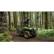Grizzly 700 EPS