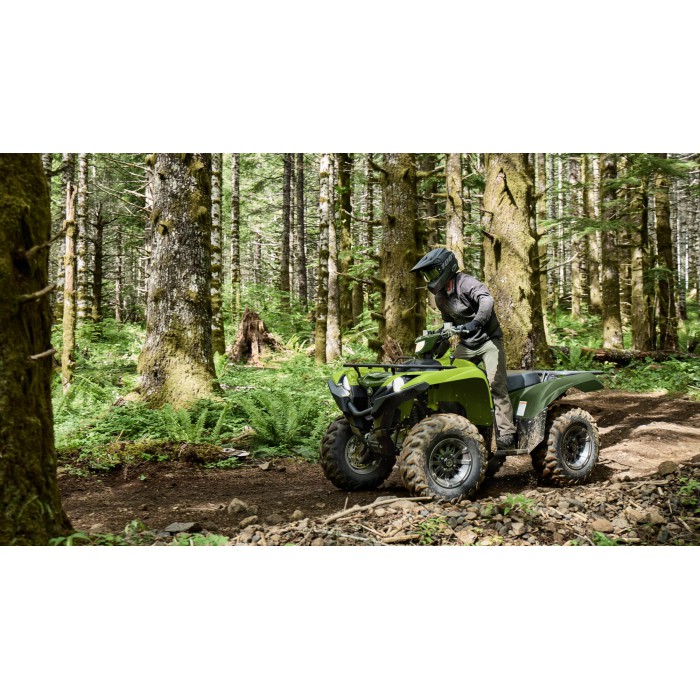 Grizzly 700 EPS
