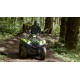 Grizzly 700 EPS