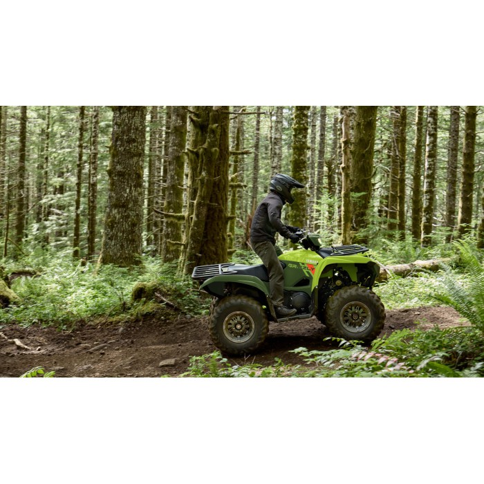 Grizzly 700 EPS