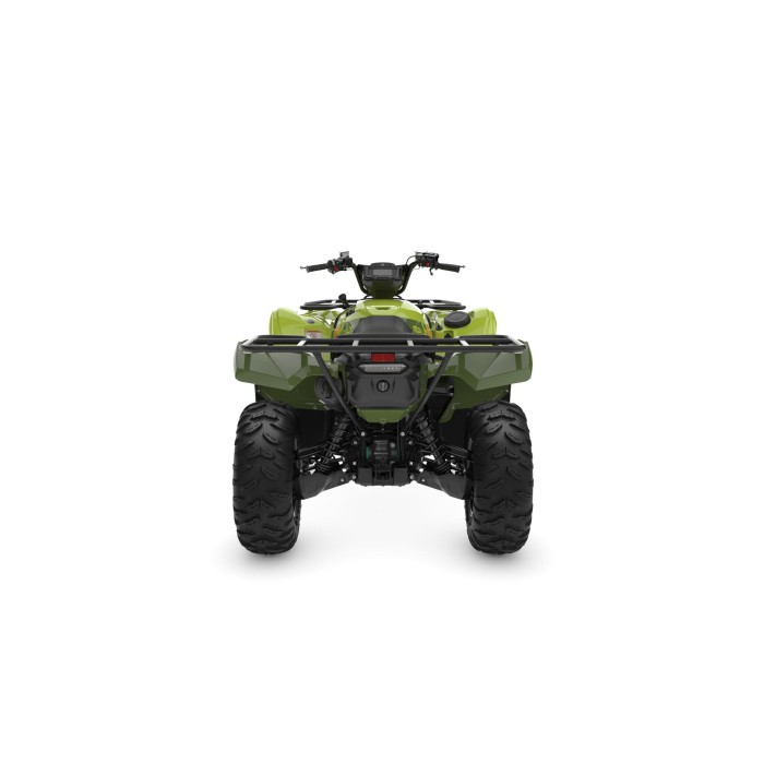 Grizzly 700 EPS