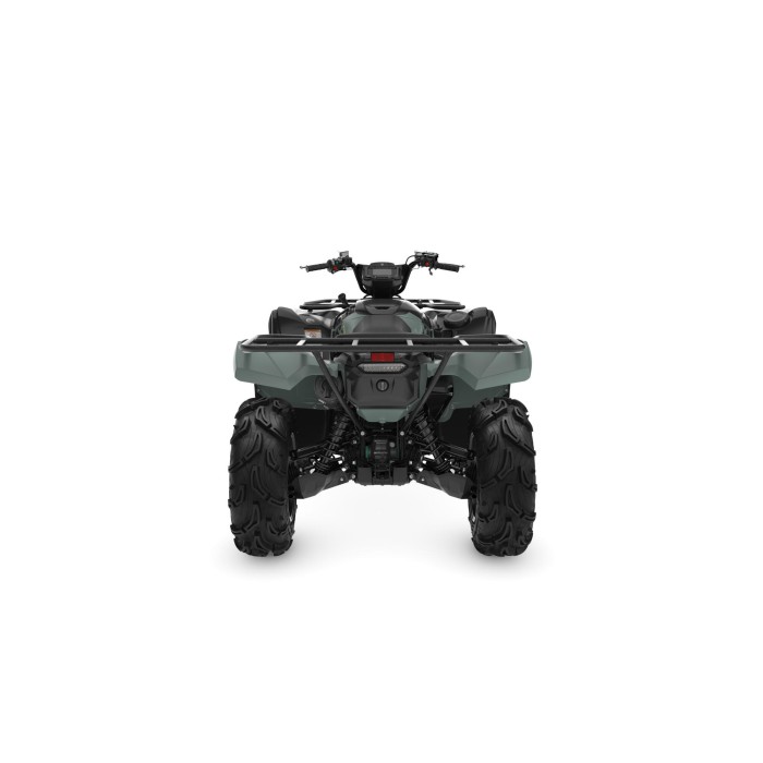 Grizzly 700 EPS XT-R